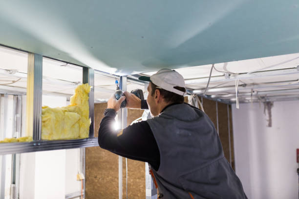 Best Insulation Maintenance and Repair in Beverly Hills, MI
