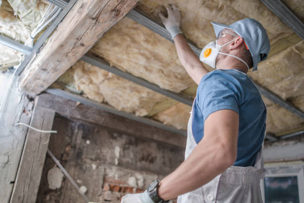 Best DIY Insulation Kits and Guidance in Beverly Hills, MI