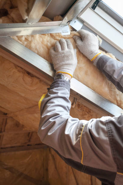 Best Geographic-Specific Insulation Services in Beverly Hills, MI